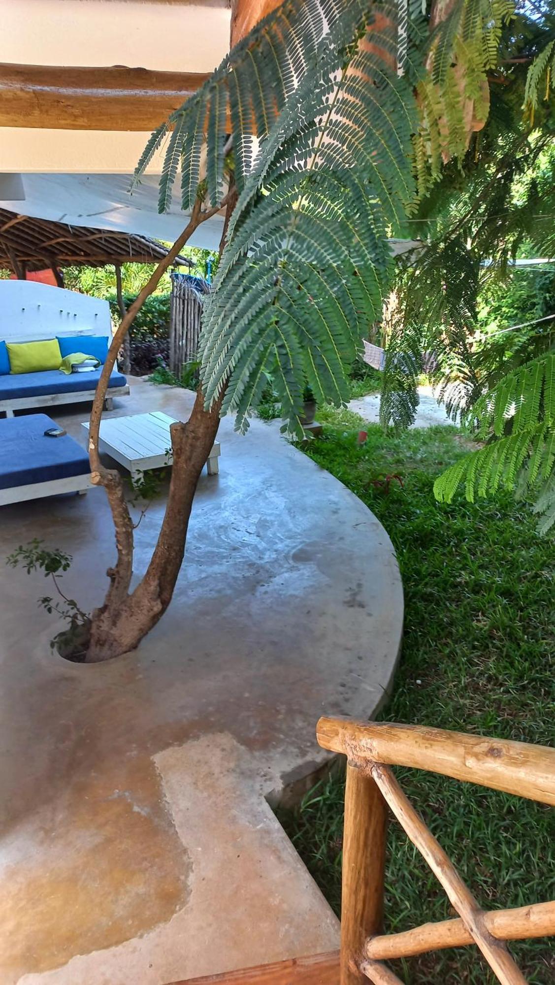 Watamu Beach Cottages B&B Eksteriør bilde